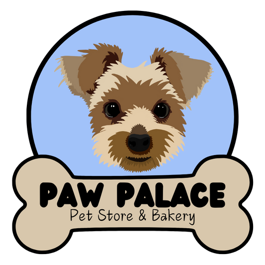 Why Safety for Dogs Matters: A Comprehensive Guide