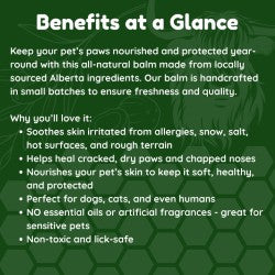 Paw Potion: Tallow Paw Balm